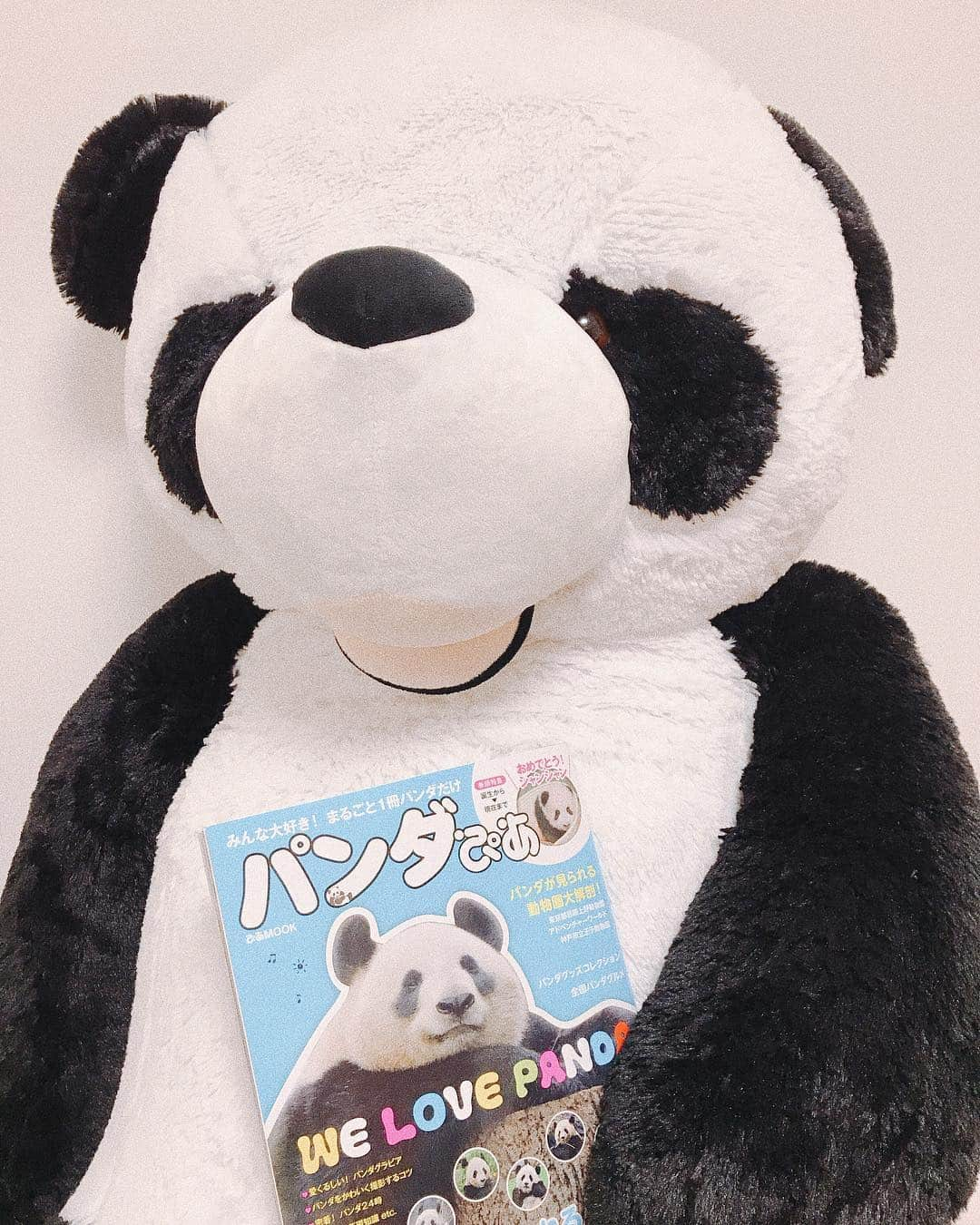 堀みづきさんのインスタグラム写真 - (堀みづきInstagram)「まるごと一冊パンダだけの本をゲットしたよ〜！ #パンダスタグラム #パンダぴあ #コンビニはしごしてやっと見つけた #等身大パンダ #みづきのパンダコレクション」11月27日 22時32分 - mizuki_027