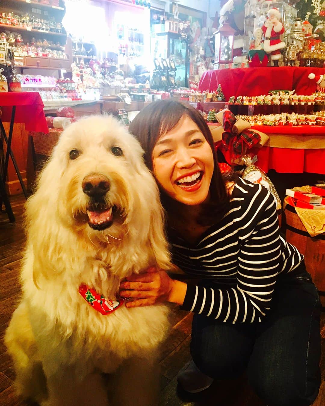 佐藤美樹さんのインスタグラム写真 - (佐藤美樹Instagram)「昨日・今日は戌年にちなんだロケ。私は犬派なのかもしれないー。そしてついにスタッフさんたちの影響でニューバランス1400デビュー。履きやすくておすすめです( ´ ▽ ` ) #横浜 #ぶりきのおもちゃ博物館 #ロビー #ロケ #犬好き #犬 #プードル と #レトリバー の #ミックス #ハマナビ #戌年 #撮影中 #佐藤美樹 #スニーカー #ニューバランス1400 #リポーター #ナビゲーター #フリーアナウンサー #女子アナウンサー #カジュアルコーデ」11月28日 11時01分 - satomiki0224