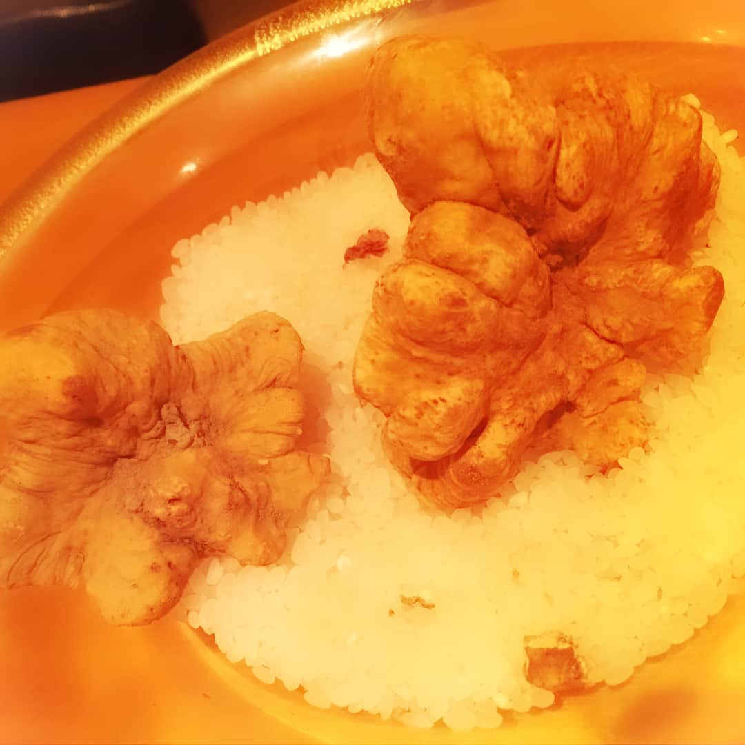 忍成修吾さんのインスタグラム写真 - (忍成修吾Instagram)「白トリュフがすごい（笑） いや~、美味しかった‼️ご馳走さまでした‼️」11月28日 13時24分 - shugo_oshinari