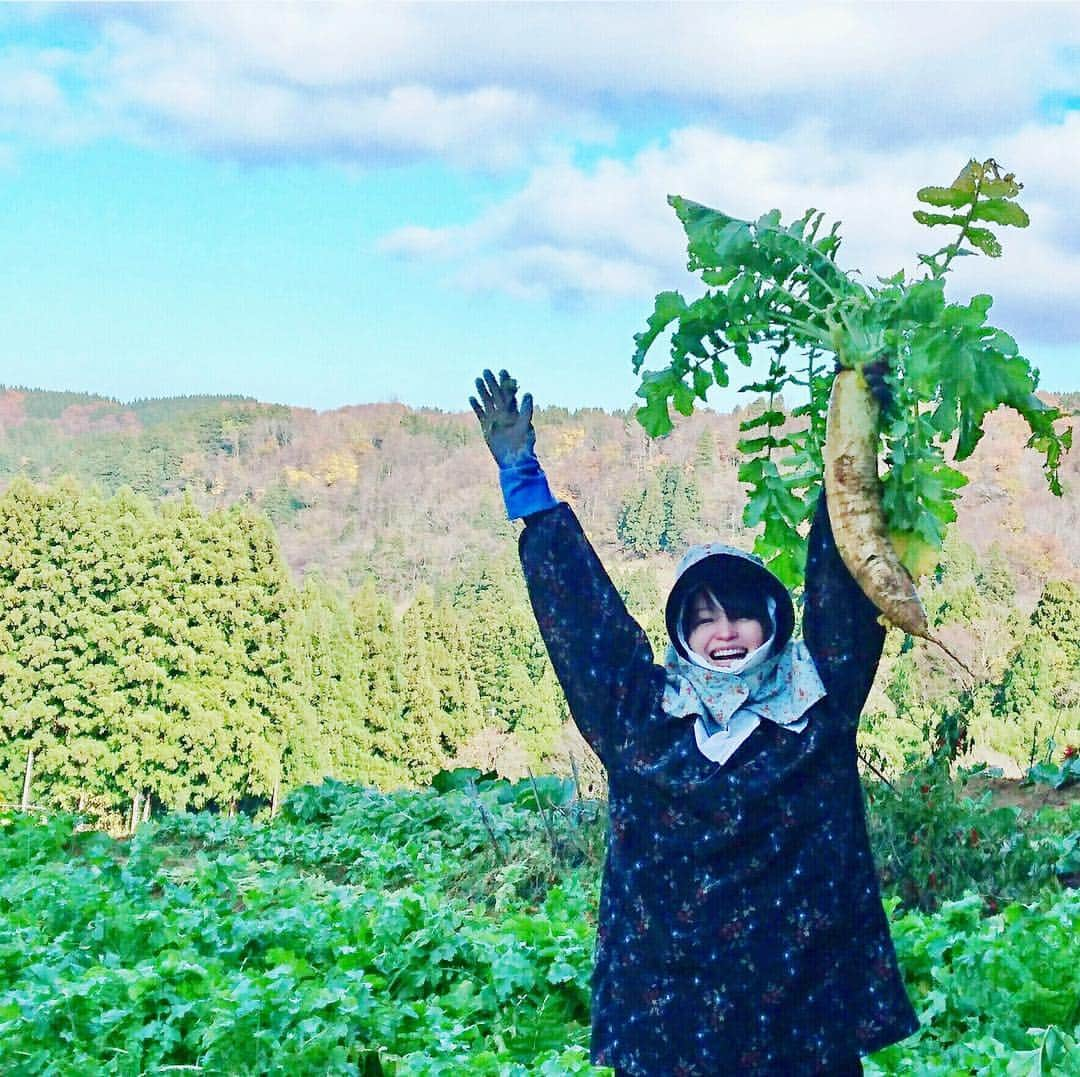 小林涼子さんのインスタグラム写真 - (小林涼子Instagram)「🌞🌱 お洒落なインスタを 目指していたのに こうなってしまった… 🥕🥦🌶 #農家 #ルック #大根 #とったどー #大きく #美味しそうな #野菜 #沢山 #幸せ #ほくほく #おばぁ #畑 #凄い #great #vegitable #sofresh #lookingforward #eat #food #life #japanesegirl #farmer #girl #몸 #조심하고 #열심히살자 #어자아자 #화이팅 #吃」11月28日 17時45分 - ryoko_kobayashi_ryoko