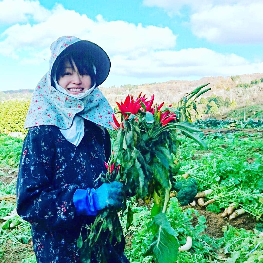 小林涼子さんのインスタグラム写真 - (小林涼子Instagram)「🌶🌶🌶 東京生まれ 東京育ちなんだけど  大好きなおじさんとおばさんと おばぁのいる新潟も大好きだ 畑の土の匂いや 冷たい空気が 爪の先まで元気にしてくれる 心の故郷なんだ おばぁが鷹の爪のブーケくれたよ 愛がたっぷりぷりぷり 💐 #農家 #ルック #鷹の爪 #美味しそうな #野菜 #沢山 #幸せ #ほくほく #おばぁ #畑 #凄い #great #vegitable #sofresh #lookingforward #eat #food #life #japanesegirl #farmer #girl #몸 #조심하고 #열심히살자 #어자아자 #화이팅」11月28日 17時54分 - ryoko_kobayashi_ryoko