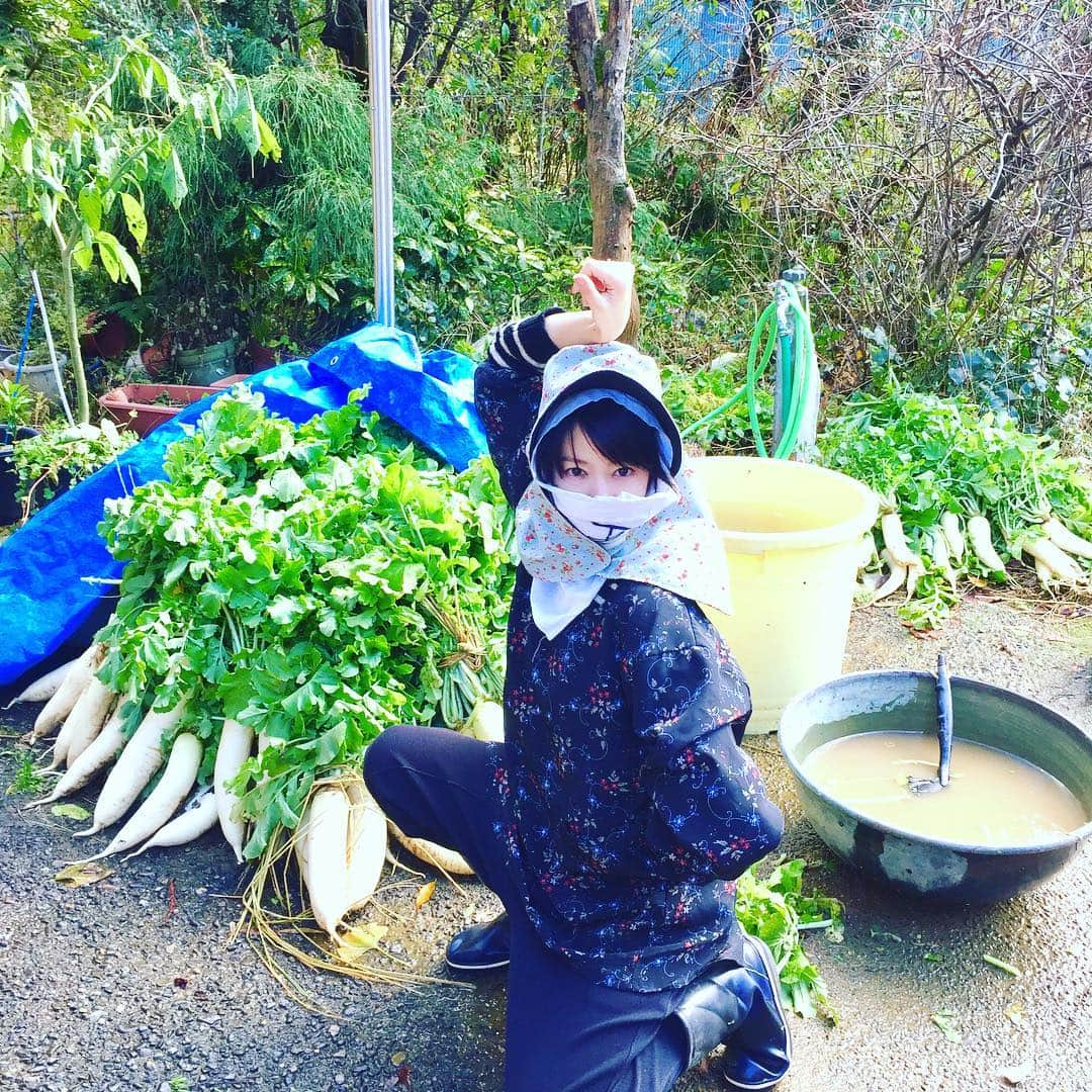 小林涼子さんのインスタグラム写真 - (小林涼子Instagram)「🌞🌱 スタイリッシュ農ルック。 🌱 #農家 #ルック #大根 #とったどー #大きく #美味しそうな #野菜 #沢山 #幸せ #ほくほく #おばぁ #畑 #凄い #great #vegitable #sofresh #lookingforward #eat #food #life #japanesegirl #farmer #girl #몸 #조심하고 #열심히살자 #어자아자 #화이팅」11月28日 17時57分 - ryoko_kobayashi_ryoko