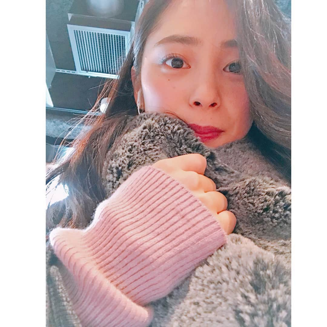 内田侑希さんのインスタグラム写真 - (内田侑希Instagram)「[よく使ってる化粧品☺︎☺︎☺︎] * sarahah で、化粧品に関するご質問が多かったのでお答えしたいと思います！▷▷▷ * <ベースメイク>Paul&Joe モイスチュアライジング ファンデーション プライマー 02 → MAC スタジオ フィックス フルイッド * <アイブロウ>KATE デザイニングアイブロウN EX-4→KATE アイブロウカラーN BR-1 * <アイメイク>ビューラ→KATE ラッシュマキシマイザー→MYBELLINE ラッシュニスタ ブラウン or ブラック * <ハイライト>THREE シマリング グロー ディオ  01 * <チーク>Laura Mercier ボンミーンスティックフェイスカラー * <リップ>CHANEL ルージュココシャネル91 / ルージュココ446 /ルージュ アリュール174 /MAC * <リップグロス>ルージュココグロス776 / RMK リップジェリーグロス03 ベビーブルー * #misssophiacontest#上智#ミスコン#ミスソフィア#2017#miss#misssophia#上智大学#内田侑希#上智ミスコンno4」11月28日 18時29分 - miss_sophia_no4