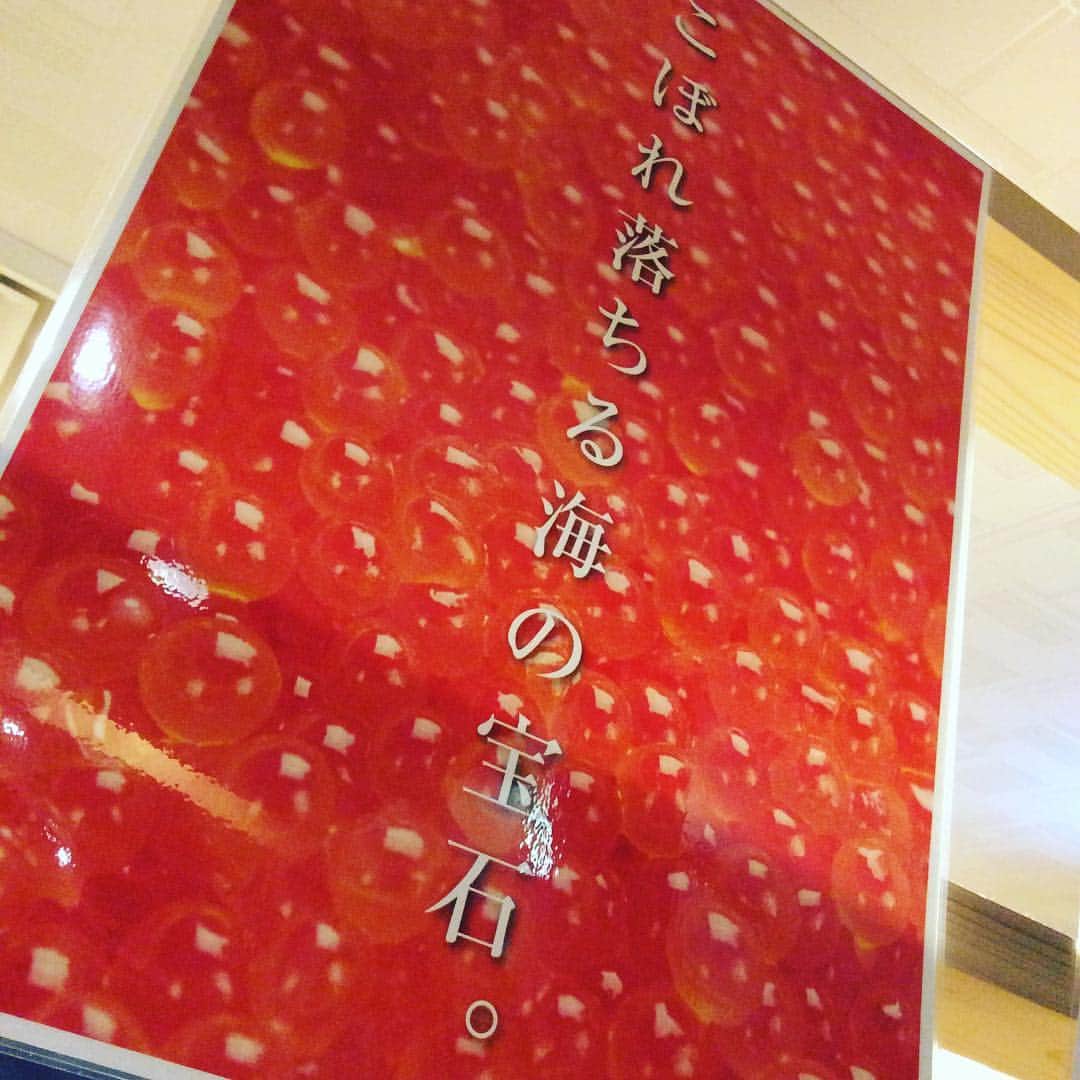 知床漁場クレフィ三宮店のインスタグラム：「説明不要😝❣️ 溢れ落ちる海の宝石をご堪能ください💎 今日も元気に営業中です✊  #知床漁場 #知床 #宝石 #個室 #魚介 #海鮮 #北海道 #三宮 #三ノ宮 #神戸 #sannomiya #KOBE #いくら丼 #いらっしゃいませ」