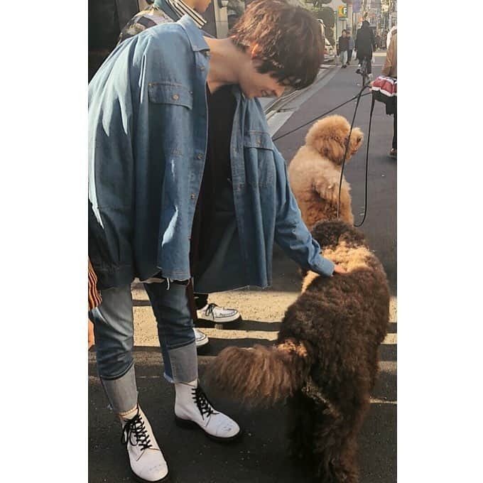 西銘駿さんのインスタグラム写真 - (西銘駿Instagram)「🐶よしよし🐶 最近、ずっと犬を飼いたい衝動に駆られてる、、」11月28日 21時10分 - nishime_shun_official