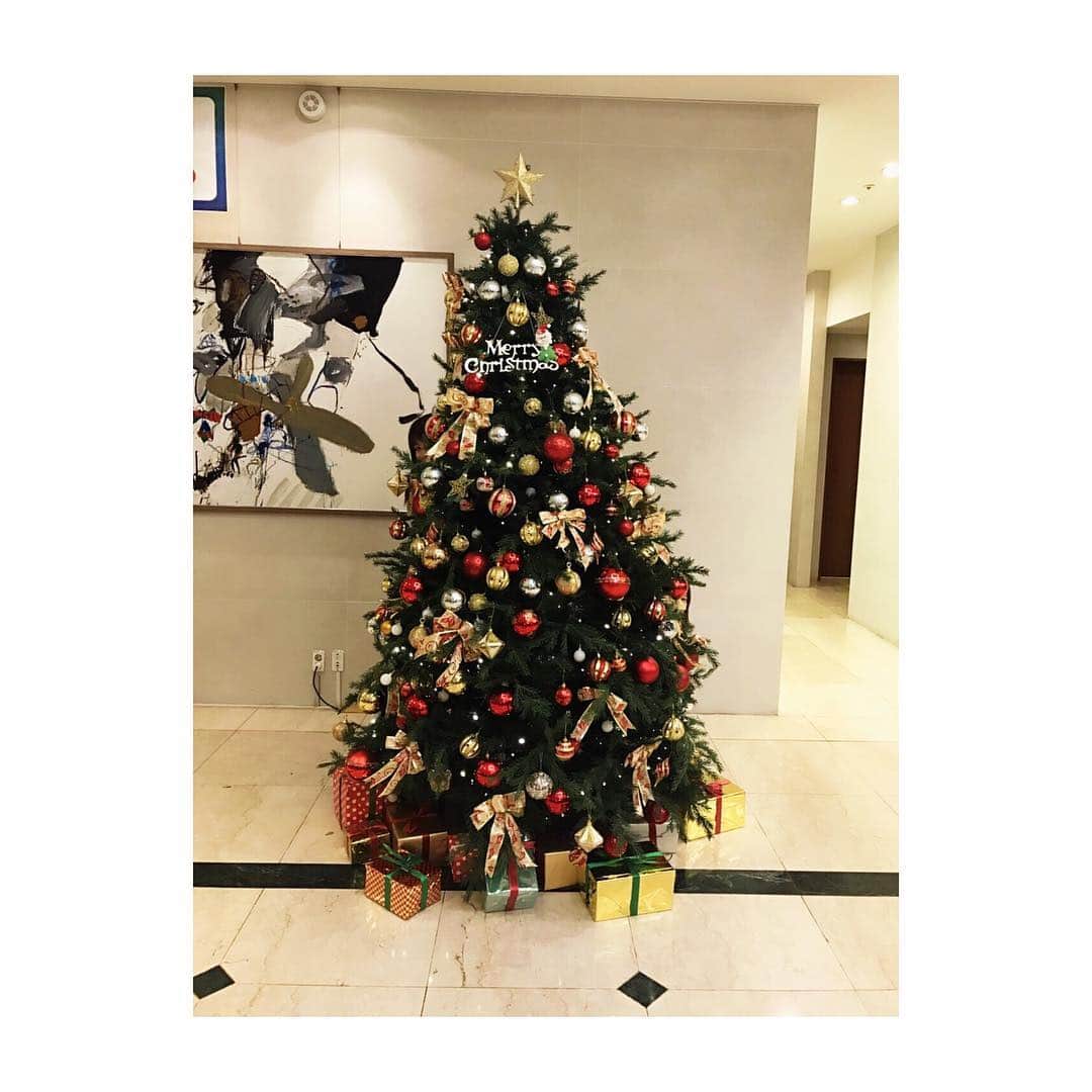 伊藤美紀さんのインスタグラム写真 - (伊藤美紀Instagram)「. 韓国のホテルでクリスマスツリーと一緒に！ あゆとみきはどこにいるでしょうか！？ 見つけれるかな🤔」11月29日 20時57分 - miiiiiki.ito6