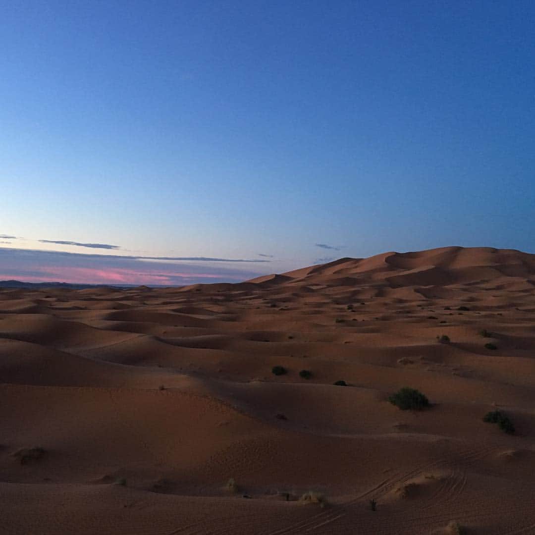 久保田智子さんのインスタグラム写真 - (久保田智子Instagram)「Touch-and-Go Morocco 🇲🇦 #morocco #sahara #saharadesert #nofilter」11月30日 7時17分 - kubota_tomoko