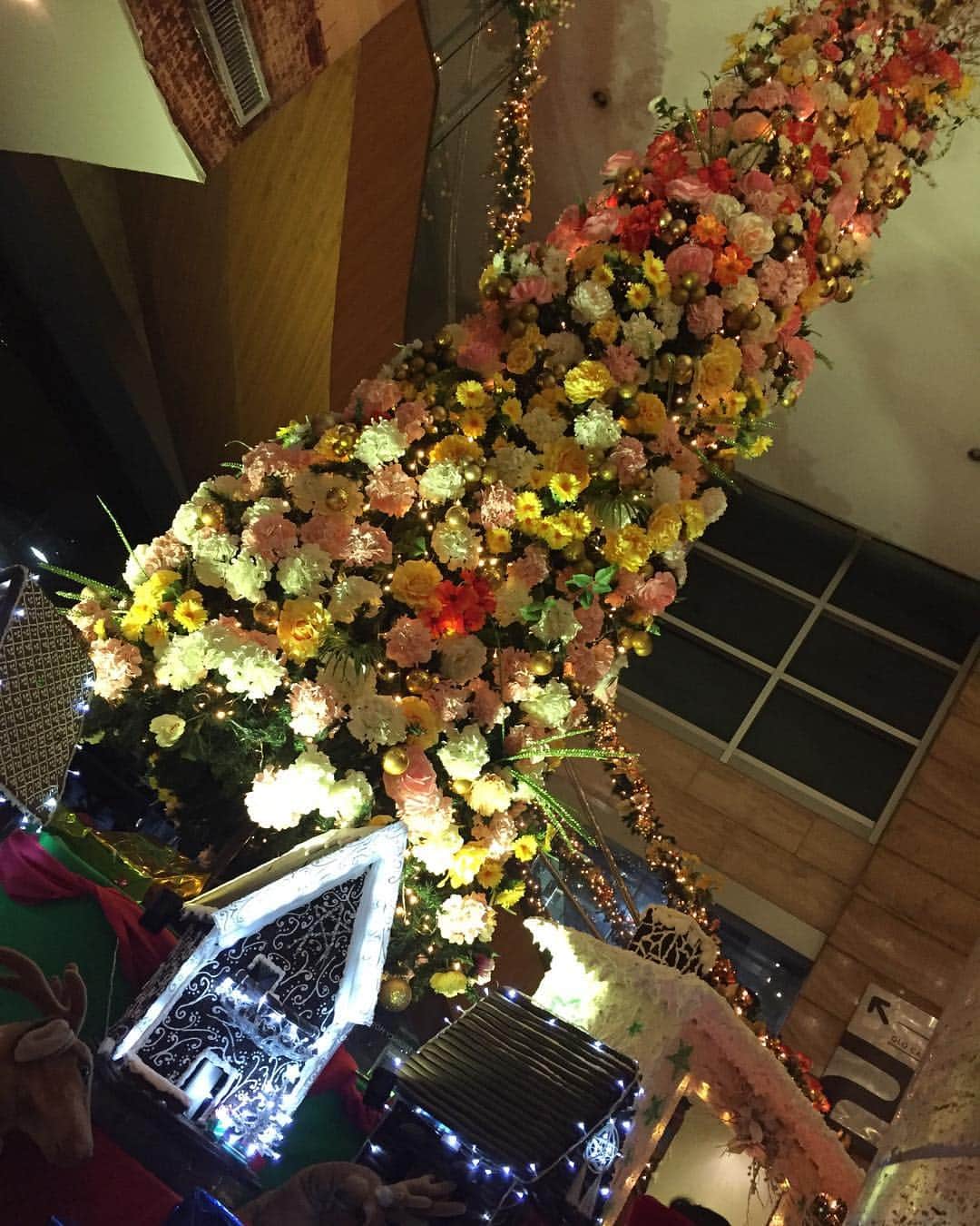 甘川もこさんのインスタグラム写真 - (甘川もこInstagram)「お花のクリスマスツリーなんて反則やあ💓かわゆ…(๑˃̵ᴗ˂̵) #クリスマス#写真好きな人と繋がりたい #写真を撮るのが好きな人と繋がりたい #写真部 #写真が上手くなる52の宿題にチャレンジ」11月30日 22時10分 - amakawa_moko