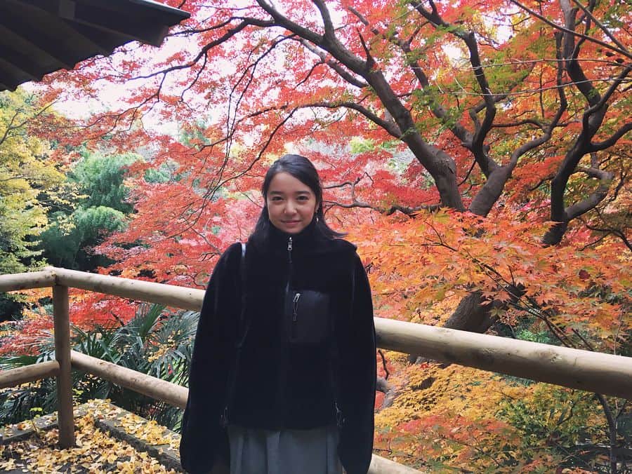 上白石萌音さんのインスタグラム写真 - (上白石萌音Instagram)「念願の等々力渓谷、まだ残ってた秋に荒ぶる上白石 あっ、今夜の#もねふみ 、波乱の予感。にや。」12月1日 18時39分 - mone_kamishiraishi