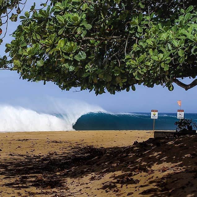 SURFING Magazineのインスタグラム：「@surfer_magazine Photo of the day - North Shore by @petertaras #SURFERphotos」