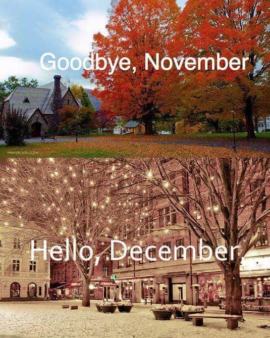 トレージャのインスタグラム：「Good-bye November. Hello December.  #goodbyenovember #hellodecember #hellowinter #december #winter #snow #holidayseason」