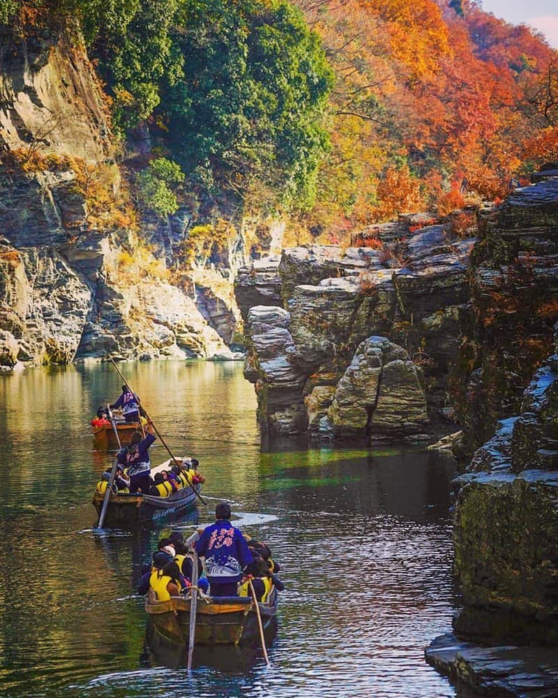 じゃらん遊び・体験予約さんのインスタグラム写真 - (じゃらん遊び・体験予約Instagram)「紅葉の長瀞へ✨秋冬の遊び体験を予約しましょ。 .⠀ photo by @ayako_goto_ ⠀ #jalan_asobi タグを付けて頂いた投稿の中から @jalan_activity 担当者がピックアップした作品を紹介しています！ いいね&コメントお待ちしております✨⠀ .⠀ ＼✨#jalan_asobispot -じゃらん遊び・体験全国人気スポットフォトコンテスト開催中✨／ 選ばれた方は、『じゃらん』に掲載されます！⠀ ▶︎詳しくはホームのURLをチェック! @jalan_activity⠀ .⠀ .⠀ #じゃらん遊び体験予約 #instagramjapan #tokyocameraclub #土曜日の小旅行 #ig_japan #wu_japan #lovers_nippon #team_jp_ #photo_shorttrip #s_shot #東京カメラ部 #jp_gallery #japan_daytime_view #体験 #外遊び #観光 #絶景 #日本の絶景 #女子旅 #カメラ女子 #旅好きな人と繋がりたい #旅好き #goproのある生活 #紅葉 #プチ旅行  #フォトジェニック」12月2日 12時42分 - jalan_activity