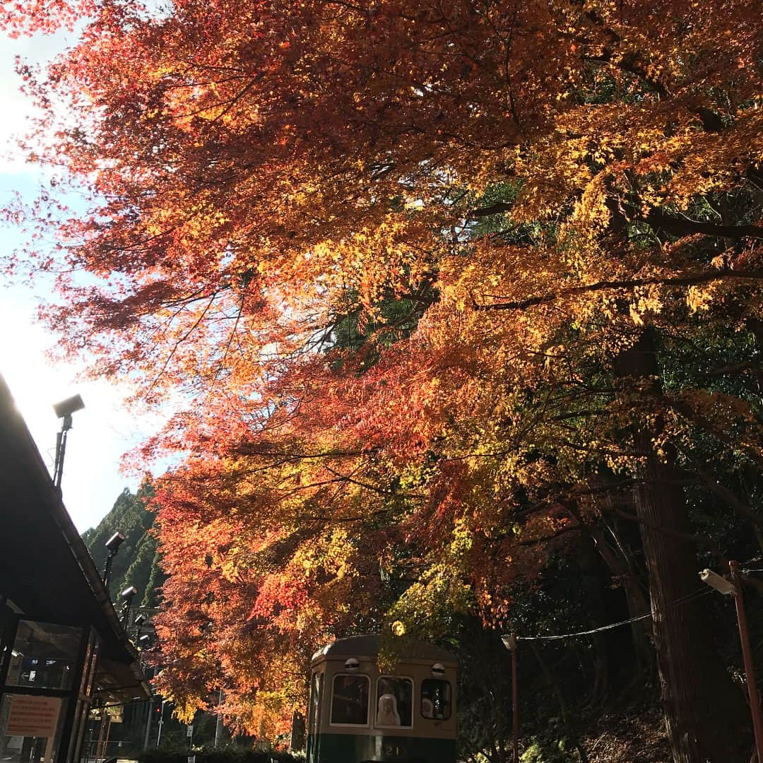 雛月乙葉さんのインスタグラム写真 - (雛月乙葉Instagram)「京都のくらま温泉に日帰りで行ってきました♨️🐒 いつものタジィと😁笑 ・ くらま温泉は初めて行ったのですが、シンプルに露天風呂が開放的で親しみやすい感じが居心地良く、久し振りにゆっくり出来て気持ちよかったです♨️ お肌もしっとりスベスベになった気がする笑 ・ 紅葉も美しい🍁 やはり冬の温泉は格別ですなぁ  #京都#鞍馬温泉#鞍馬#冬#日帰り温泉#小旅行」12月2日 17時39分 - h.ayano.m