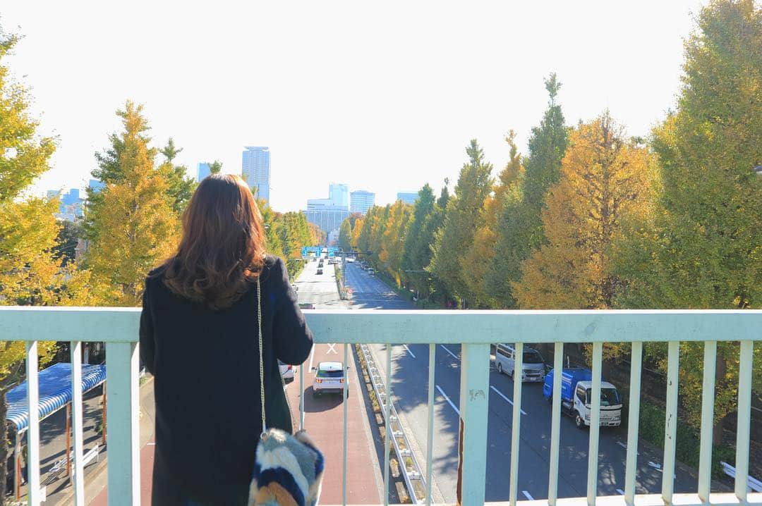 財津南美さんのインスタグラム写真 - (財津南美Instagram)「ㅤㅤㅤㅤㅤㅤㅤㅤㅤㅤㅤㅤㅤ もうちょっと黄色かったらな💭 でも綺麗。東京はなんでも規模がどーんってでっかい😌ㅤㅤㅤㅤㅤㅤㅤㅤㅤㅤㅤㅤㅤ #東京#旅行#イチョウ#銀杏並木#紅葉」12月2日 21時18分 - zaitsu_minami
