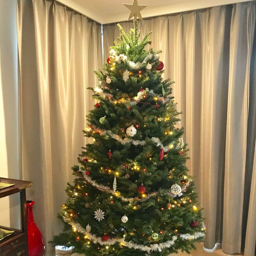 田中ウルヴェ京さんのインスタグラム写真 - (田中ウルヴェ京Instagram)「今年は本物もみの木で。2m以上ある生木の香りは最高。(^^) アメリカでホームステイしていた頃を思い出します。(^^) Our Christmas tree this year!」12月3日 8時27分 - miyako.tanaka.oulevey