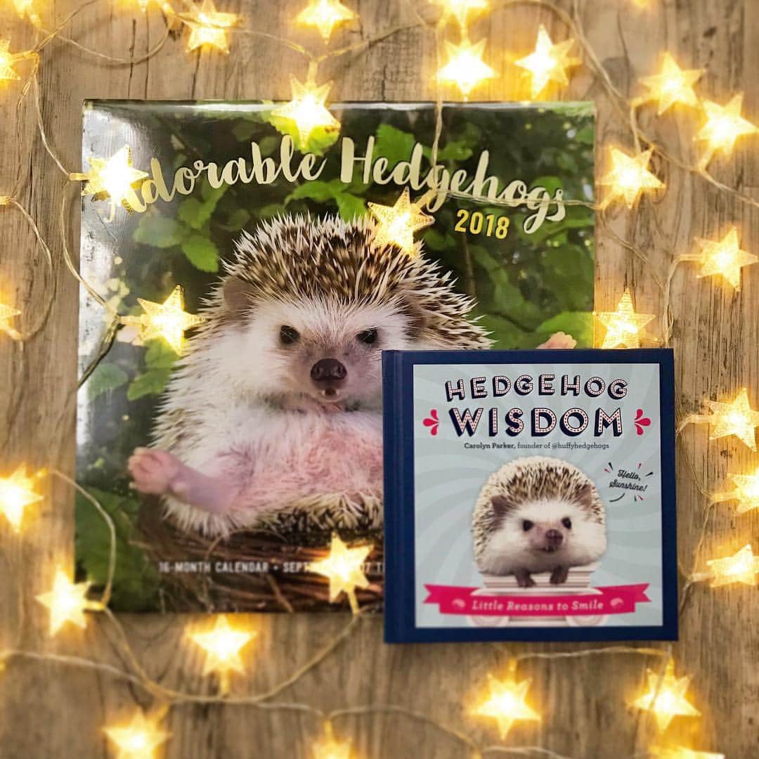のインスタグラム：「Whaaaaat?! December already?! To celebrate we are doing a GIVEAWAY!✨For a chance to win a copy of “Hedgehog Wisdom” & an “Adorable Hedgehogs 2018” calendar - Comment below with what makes you smile during the holidays & tag someone who needs to add this to their #wishlist. The winner will be announced one week from today. It’s the most wonderful time of the year! 🎁✨」