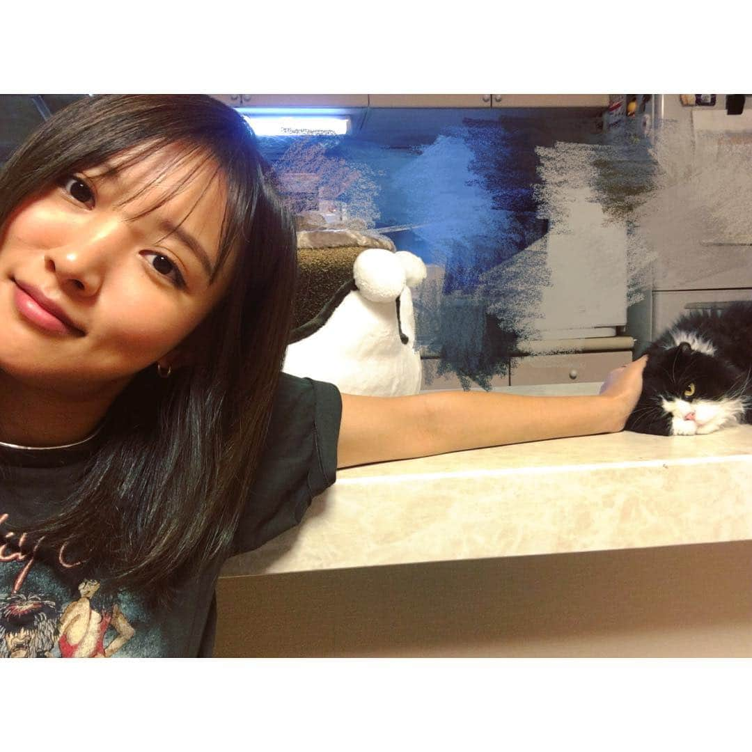 夏菜さんのインスタグラム写真 - (夏菜Instagram)「距離感。笑笑 (*´ω`*) 今夜🙌22：00～ MBS「林先生が驚く 初耳学」に出演しますー🐷 みてねー❤️ #くろまる#スコティッシュフォールド#林先生が驚く初耳学」12月3日 13時38分 - natsuna_official