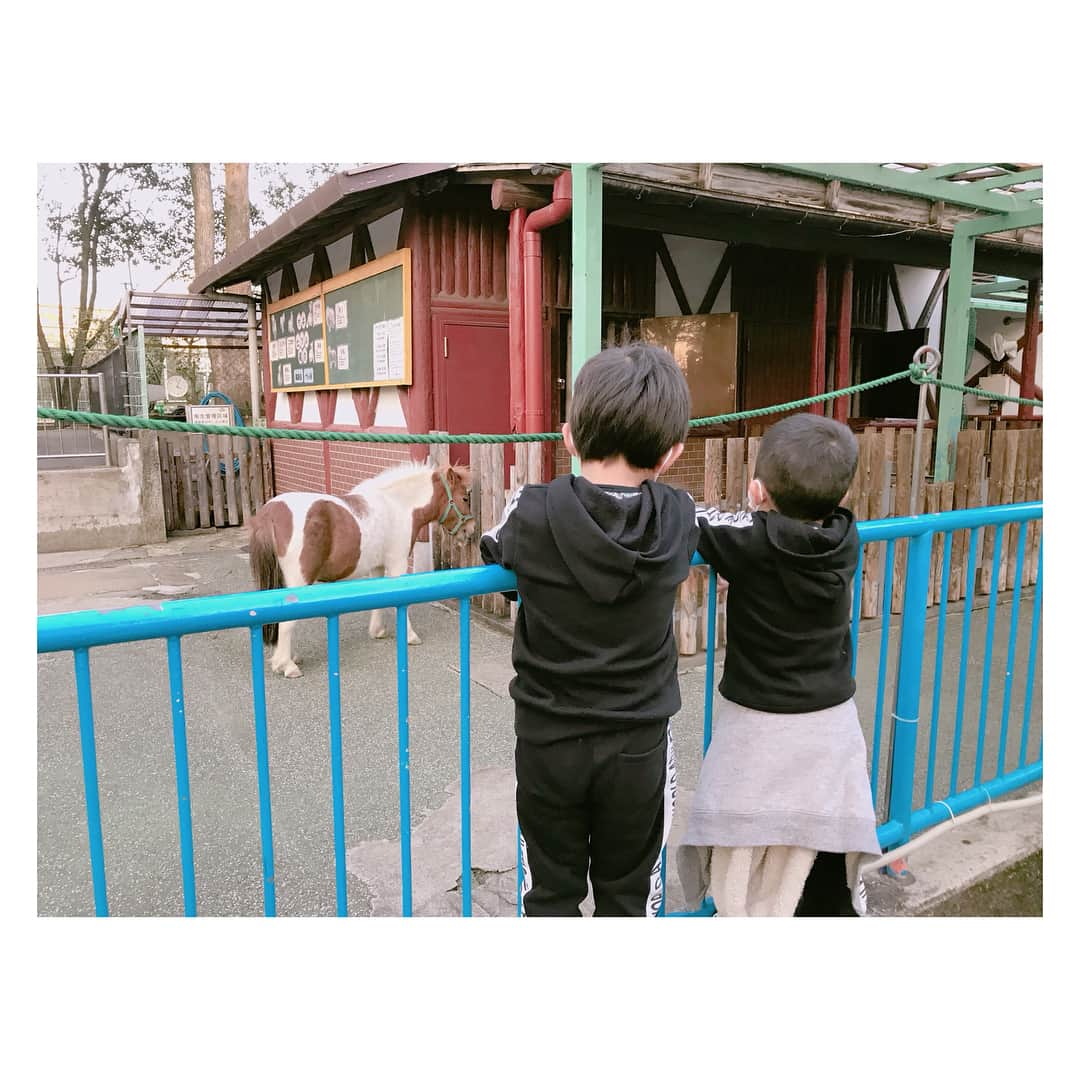 辻希美さんのインスタグラム写真 - (辻希美Instagram)「ポニーとご対面♡  #辻希美 #動物園 じゃないょ #近所にある #動物公園 #ポニー #時間によっては触れ合えます」12月3日 18時26分 - tsujinozomi_official