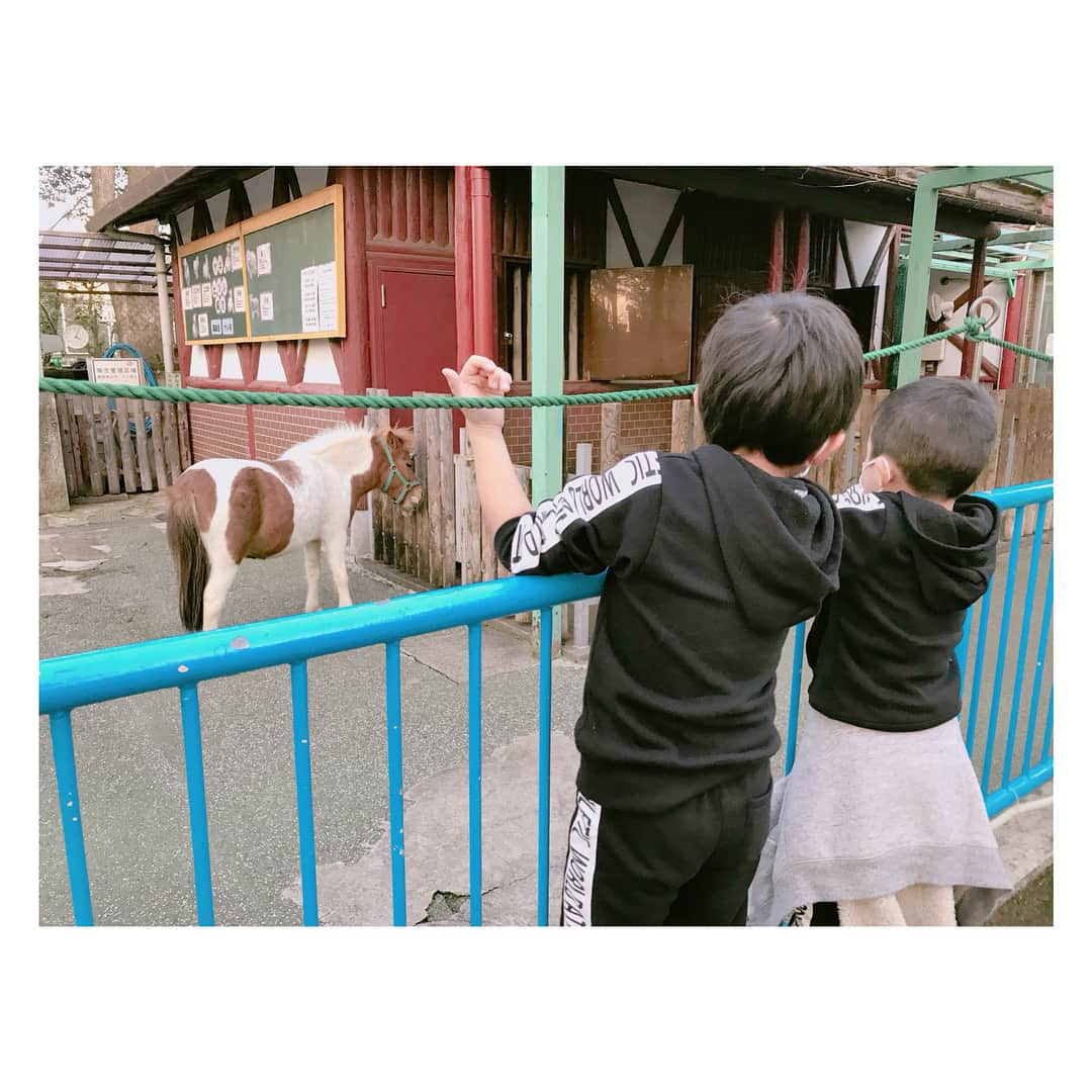 辻希美さんのインスタグラム写真 - (辻希美Instagram)「ポニーとご対面♡  #辻希美 #動物園 じゃないょ #近所にある #動物公園 #ポニー #時間によっては触れ合えます」12月3日 18時26分 - tsujinozomi_official