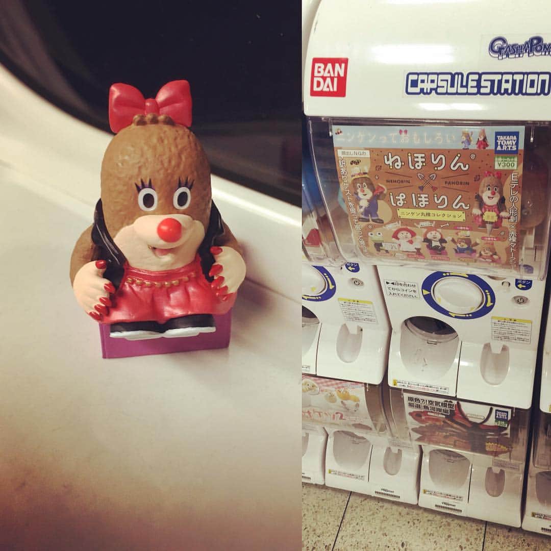 山崎正太郎のインスタグラム：「こんなん見つけたらやっちまうやろ！！ #ねほりんぱほりん  #ガチャガチャ」