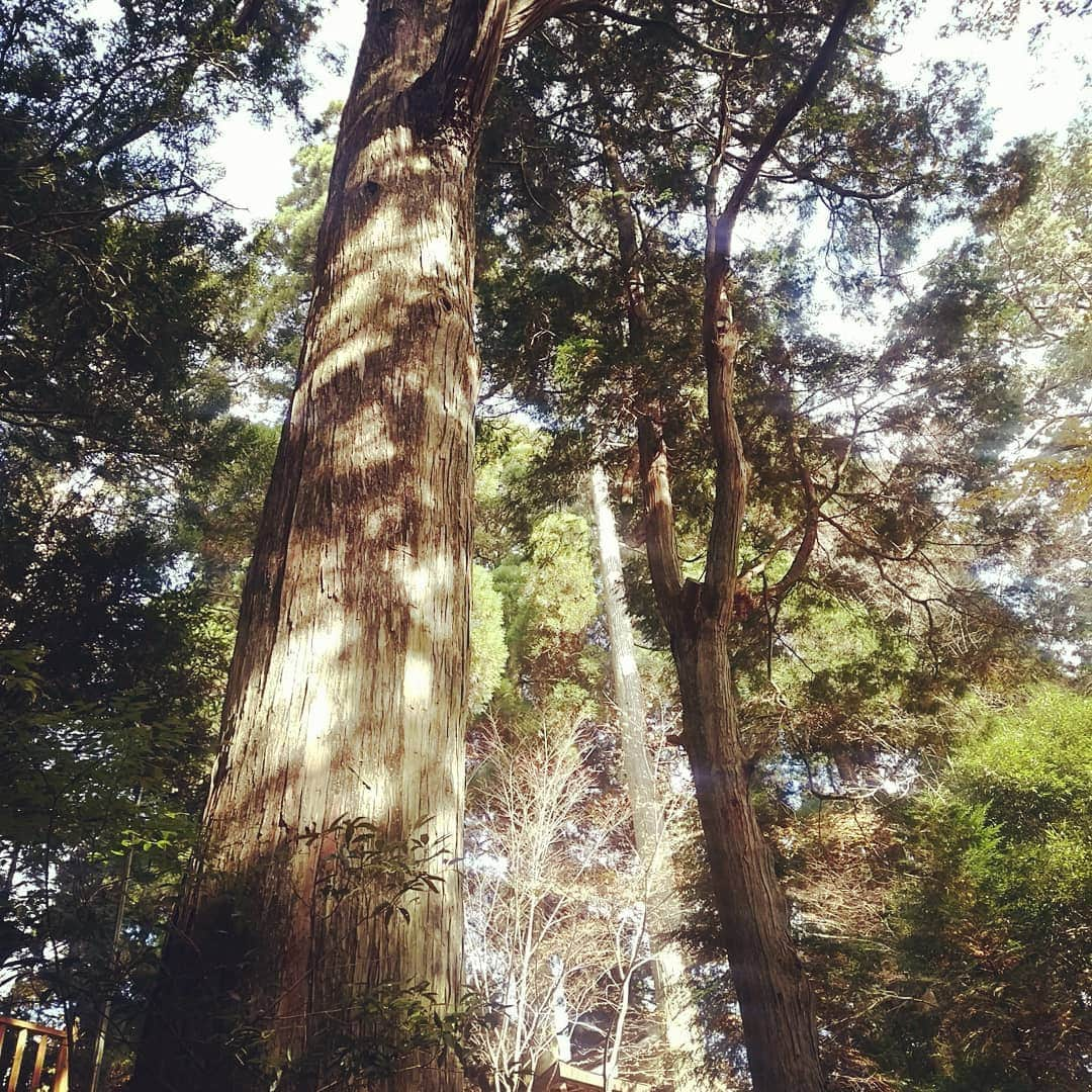 甲斐まり恵さんのインスタグラム写真 - (甲斐まり恵Instagram)「地球のヘソ！弊立神宮  #弊立神宮 #地球のヘソ #宇宙レベル #神様 #上益城郡 #山都町 #中央構造線上 #パワースポット #光 #写ってる #ゼロ磁場 #美しい #世界平和 #熊本 #スーパームーン #今宵」12月3日 20時10分 - marie_kai_0613