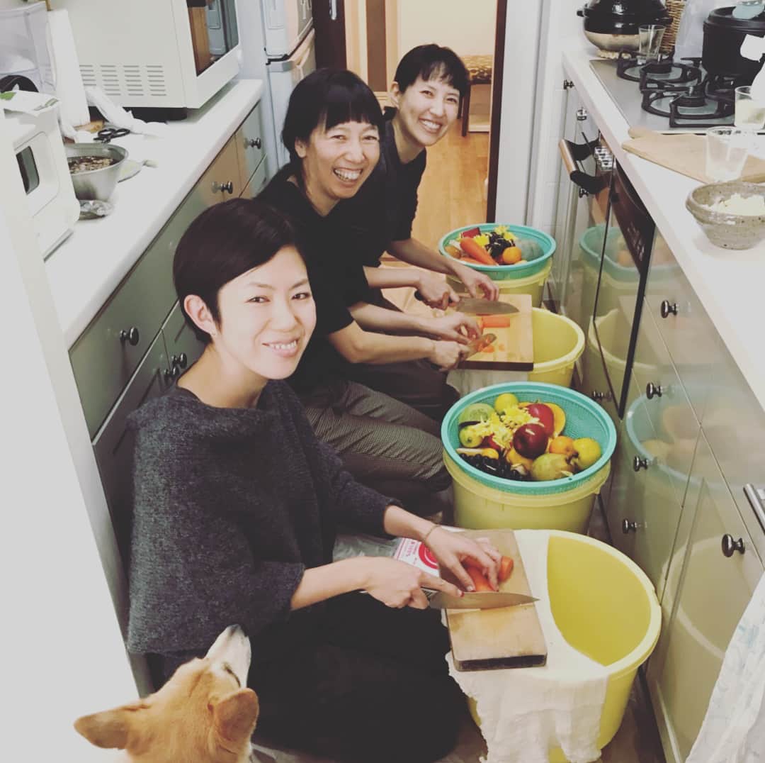 浜島直子さんのインスタグラム写真 - (浜島直子Instagram)「うちの狭い台所で正座して、みゆき先生に酵素作りを教わる婦人会の図。旬の野菜と果物で。 まりこはん宅のペッカちんも遊びに来てくれて、おばちゃん嬉しい〜❤️ グイグイ行くピピちゃんとは反対に、そっと微妙な距離を取るペッカちんもおばちゃん好きよ❤️ ・ #酵素 #美味しくできるかな #ペッカ #平澤まりこ #ここにもみゆきちゃん」12月3日 23時38分 - hamaji_0912
