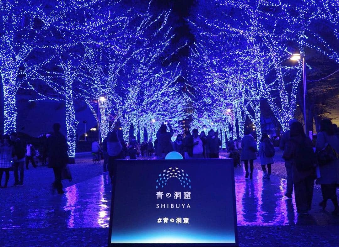 財津南美さんのインスタグラム写真 - (財津南美Instagram)「ㅤㅤㅤㅤㅤㅤㅤㅤㅤㅤㅤㅤㅤ たくさん行ったイルミネーションの１つ☝🏻 「青の洞窟SHIBUYA」 光の強さに圧倒された🙄💡 ㅤㅤㅤㅤㅤㅤㅤㅤㅤㅤㅤㅤㅤ #東京#旅行#渋谷#青の洞窟shibuya#イルミネーション」12月4日 12時38分 - zaitsu_minami
