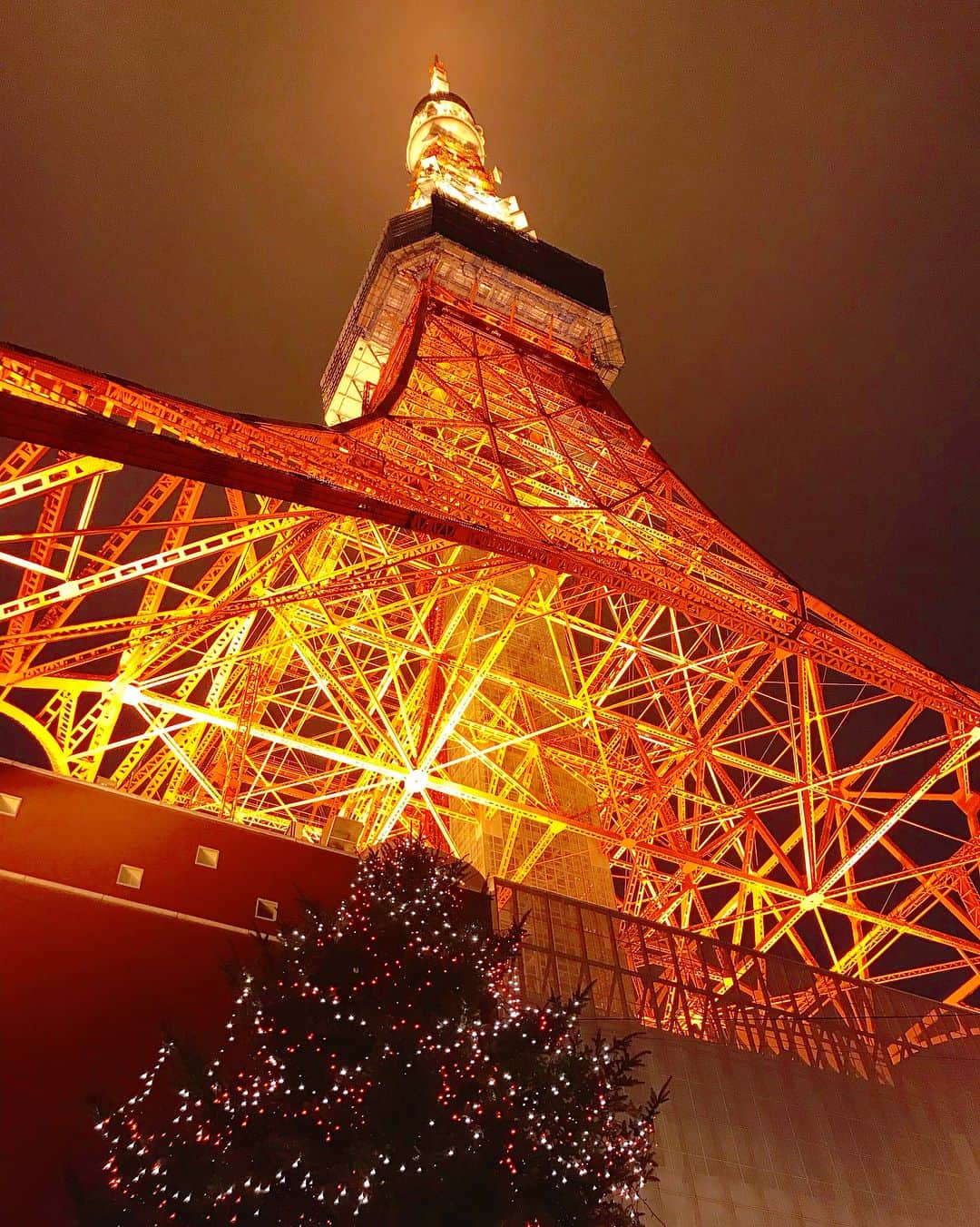 山岡実乃里のインスタグラム：「swipe→→📲 東京タワー🗼✨ 近くから見ても遠くから見ても綺麗である🙆  #東京タワー #芝公園 #六本木ヒルズ展望台  #夜景 #イルミネーション  #tokyotower #roppongihills #夜散歩」