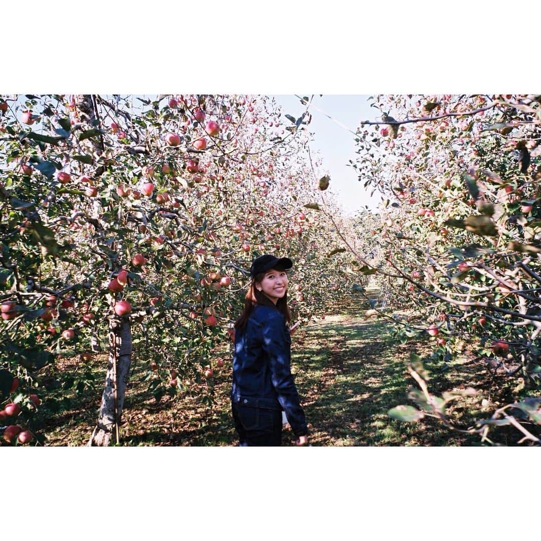 玉井詩織さんのインスタグラム写真 - (玉井詩織Instagram)「はい、きょんちゃんとりんご狩りしてきました🍎1ヶ月前のお話…  ずっと何か狩りたいって話ししてて、 よし、りんごだ。って！  たのしかった♡  #芳根京子 #次なに狩りに行く？ #姉妹ですかって言われたね #どっちが姉に見えたのか #それ重要」12月4日 22時30分 - shioritamai_official