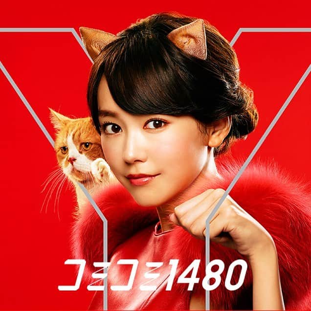 桐谷美玲　ファンアカウントのインスタグラム：「#桐谷美玲 #mireikiritani」