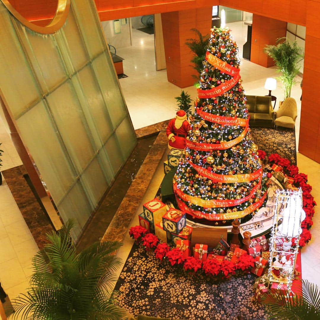 THE WESTIN KYOTO ウェスティン都ホテル京都のインスタグラム：「ロビーでは、高さ5mを超えるクリスマスツリーが皆様をお迎えしております。 The 5 meters high x'mas tree greet hotel guests at the lobby. #ウェスティン都ホテル京都  #thewestinmiyakokyoto #Kyoto  #京都  #ホテル  #hotel #hotels #westin  #クリスマスツリー  #クリスマスツリー🎄 #ウェスティン #christmastree #keage #蹴上 #クリスマス #xmas #christmas #xmastree #holiday  #xmasfun #xmastime  #xmasseason」