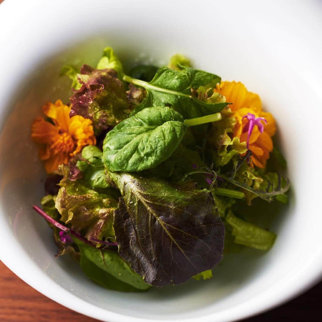 SION canteen&のインスタグラム：「. SION canteen& . 無農薬、有機栽培のお野菜 素材そのものの味をお楽しみ頂けます。 . #SION #sioncanteen #シオン #キャンティーンアンド #大阪 #淀屋橋 #北浜 #本町 #大阪ランチ #ランチ #野菜 #有機野菜 #旬 #食材 #季節 #料理 #ワイン #洋食の新しい形 #木 #温もり #空間 #無農薬 #有機栽培 #野菜 #vegetables」