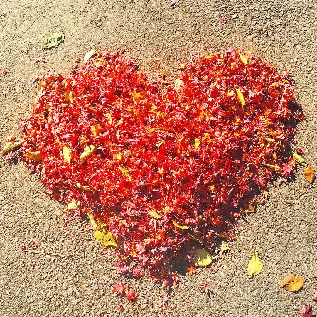 アンミカさんのインスタグラム写真 - (アンミカInstagram)「紅葉ハート♥️🍁子供のような仕草のテディに悶絶❣️大好き❣️ #公開ノロケと公開告白すみません。 #夫婦でやって下さいって話ですよね(^^;; #熱海の梅園にて落ち葉ハートで遊ぶ旦那様 #風に舞う紅葉と枯れ葉が秋ならではの芸術 #夫婦旅 #紅葉狩り #熱海旅行 #model #ahnmika @theodore21118miller」12月5日 21時37分 - ahnmikaofficial