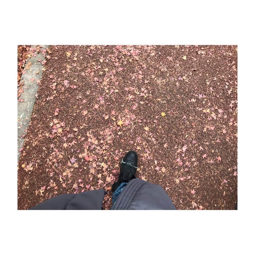 赤楚衛二さんのインスタグラム写真 - (赤楚衛二Instagram)「いつのまにか秋が終わってた。」12月5日 22時42分 - akasoeiji