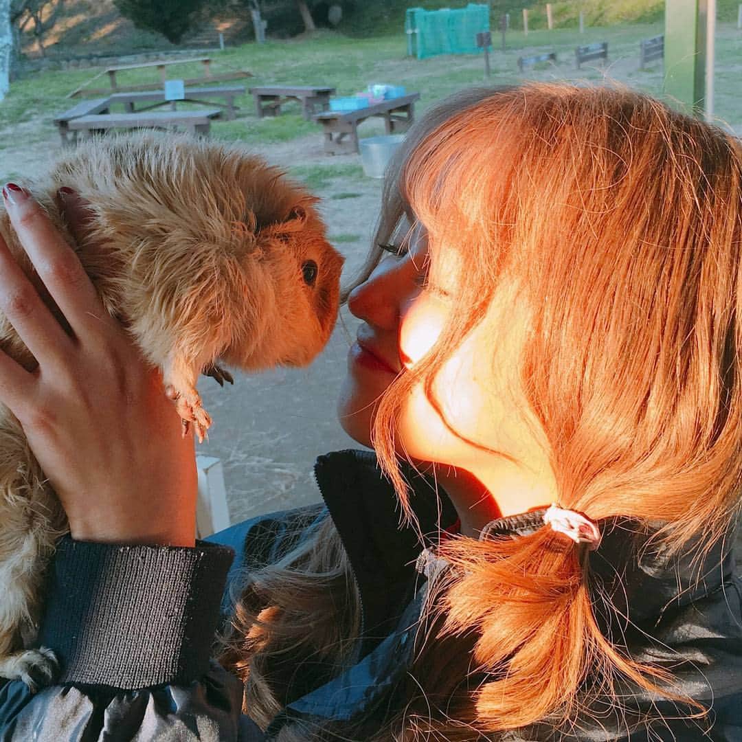 徳本夏恵（なちょす）さんのインスタグラム写真 - (徳本夏恵（なちょす）Instagram)「. 動物って癒しやよなぁ〜〜😳😳😳 .」12月6日 18時45分 - nachos_kimono
