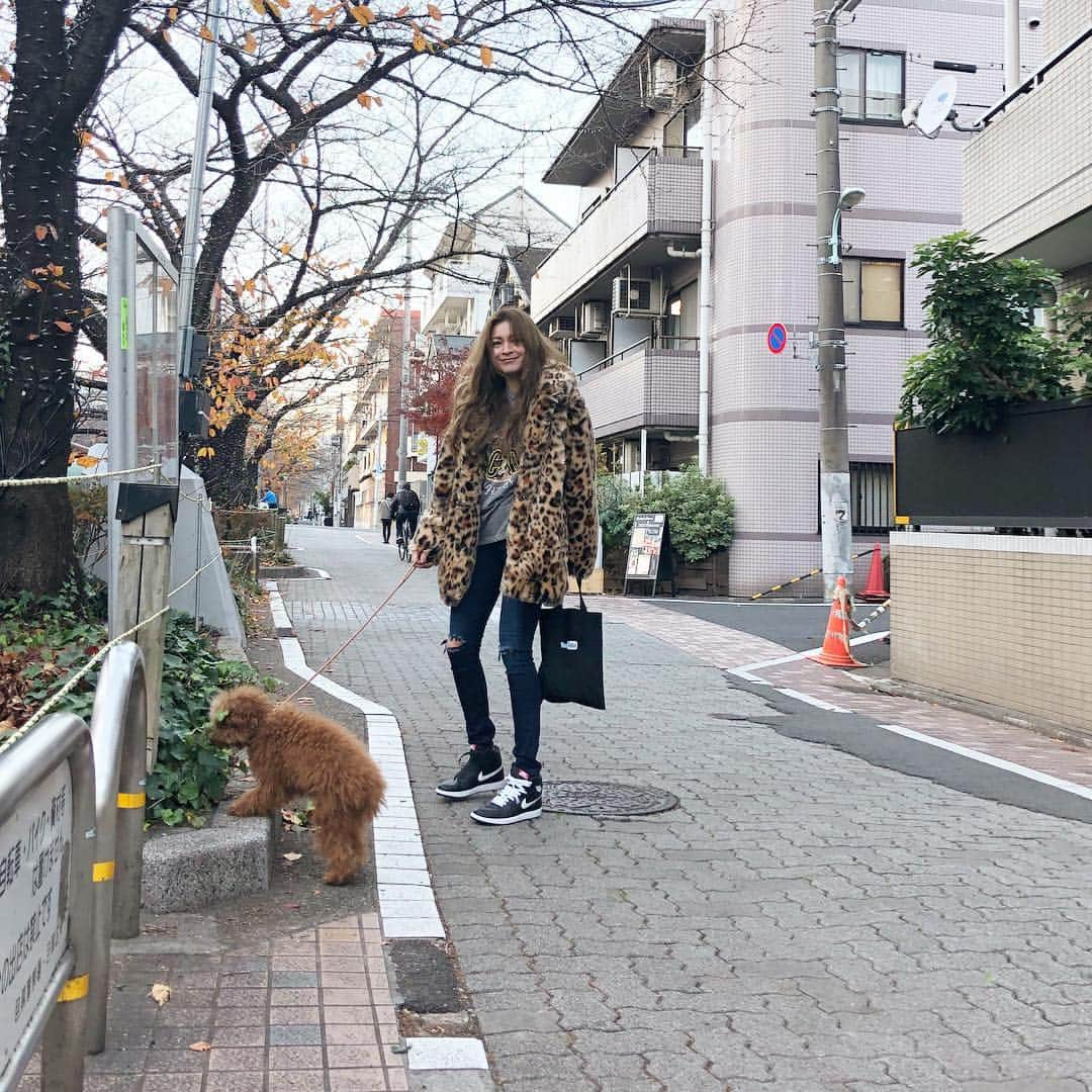 岩堀せりさんのインスタグラム写真 - (岩堀せりInstagram)「こう見えて、ティーカップトイプードルという犬種だったはずなのです😳大きくなって嬉しい🐶」12月6日 23時45分 - iwahoriseri