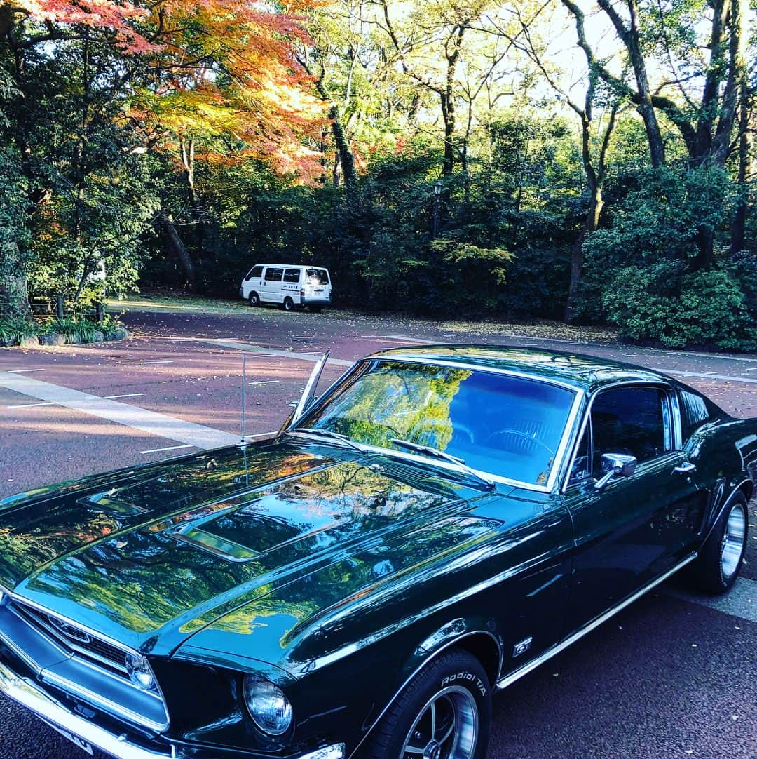 祖父江大輔さんのインスタグラム写真 - (祖父江大輔Instagram)「#68FB #mustang #fastback # #challenger」12月7日 18時34分 - sobue