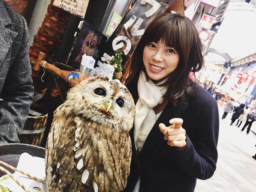 のインスタグラム：「初めてこんなに間近でフクロウみたー❗️ . もりもりって名前なんだって笑 .  もりもりが風邪ひくといけないから触る前にアルコール消毒しなきゃいけないんだって。繊細だよね笑 . 写真は一枚ならとっていいですよ！と言われたので撮ってもらったよ☀️ . ここ最近で1番緊張しました！笑 . #毛並み良 #人間よりフォトジェニック #静か #かわいい #梟 #ふくろう #もりもり #緊張が指先に表れてる #指かっくん #ダルマみたい #かわいい 笑」
