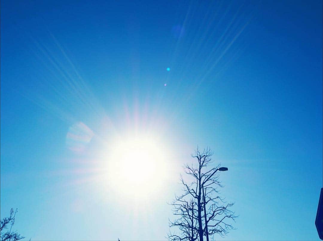 福原遥さんのインスタグラム写真 - (福原遥Instagram)「今日も皆さんにとって素敵な1日になりますように、、、、✨」12月22日 10時06分 - haruka.f.official