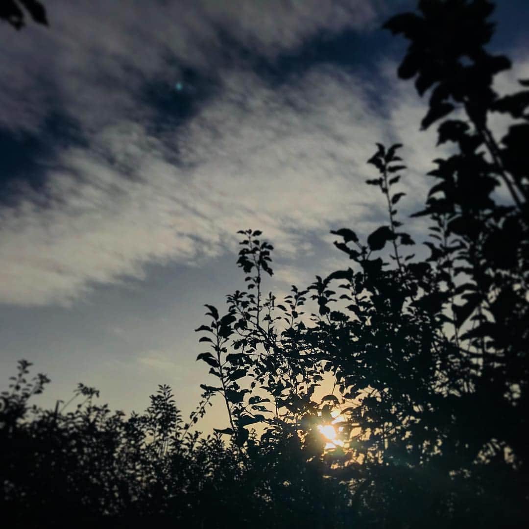 平祐奈さんのインスタグラム写真 - (平祐奈Instagram)「おはようございます。まだお外は暗いね。今日もみなさんが穏やかな1日を過ごせますように☺︎」12月8日 6時11分 - yunataira_official