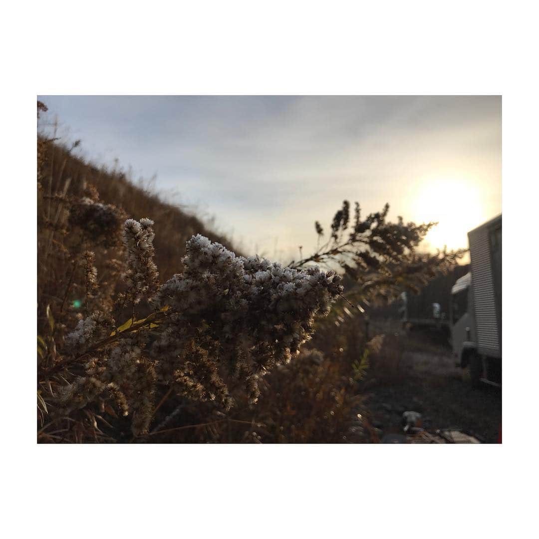赤楚衛二さんのインスタグラム写真 - (赤楚衛二Instagram)「natureに触れて来た。 いよいよ平成ジェネレーションズFinal明日公開です。」12月8日 18時44分 - akasoeiji