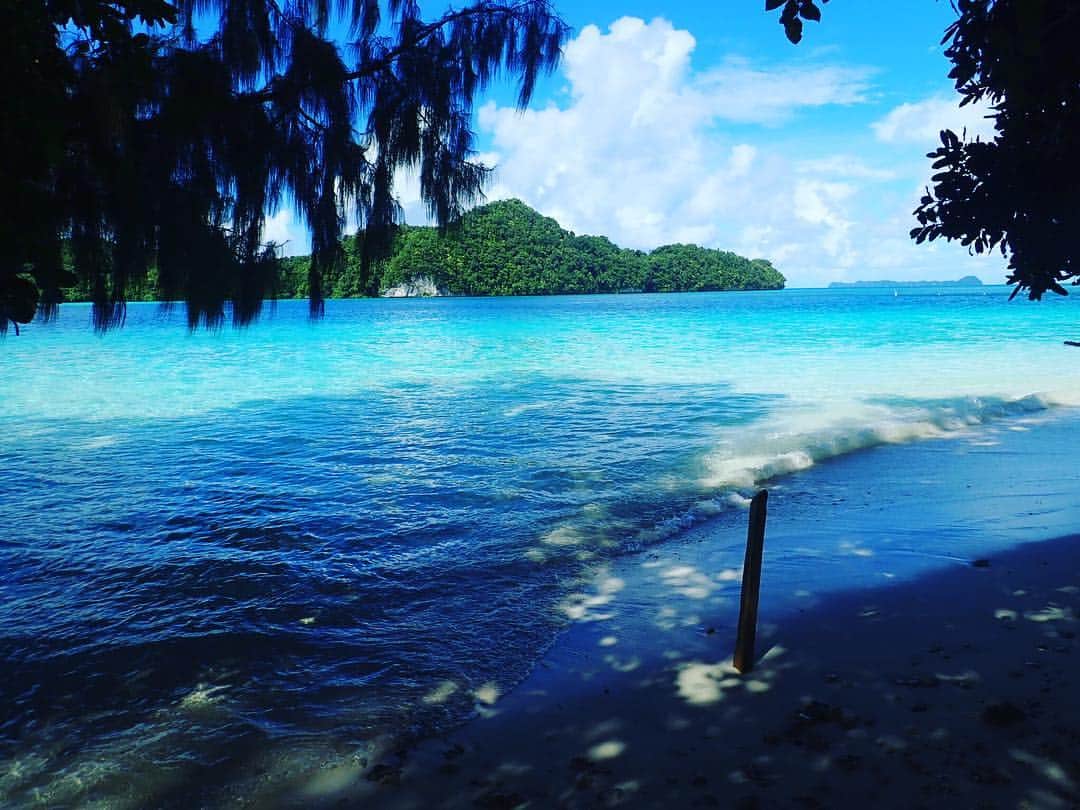 麻生唯のインスタグラム：「パラオ🇵🇼💓 素敵すぎる海(>_<) ここでダイビングのライセンス取りました😘💓 ただWi-Fi環境ありません‪‪💦‬ #plau #ocean #diving」