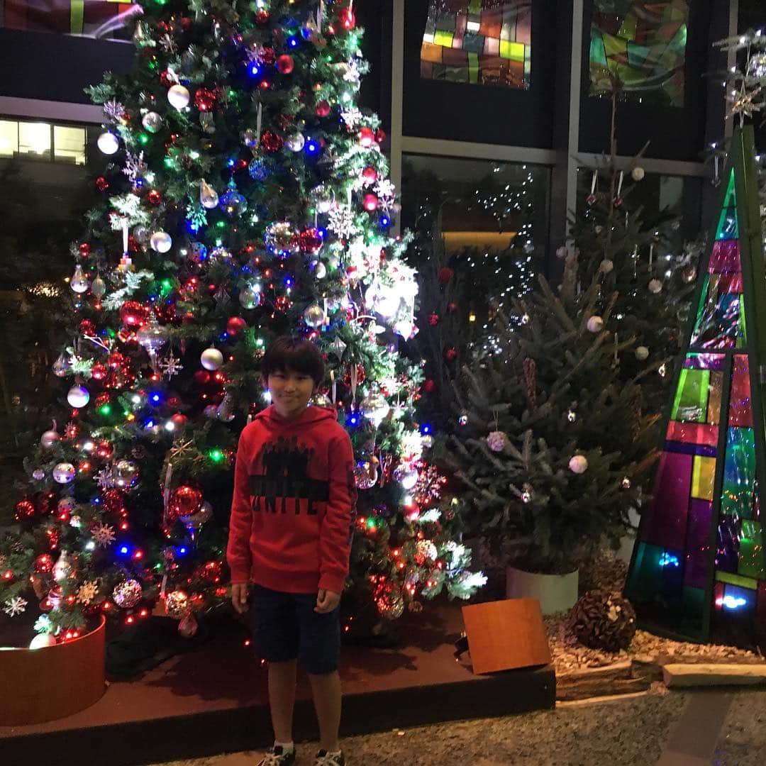 道端カレンさんのインスタグラム写真 - (道端カレンInstagram)「✨🎄✨🎄✨🎄」12月8日 20時36分 - karenmichibata