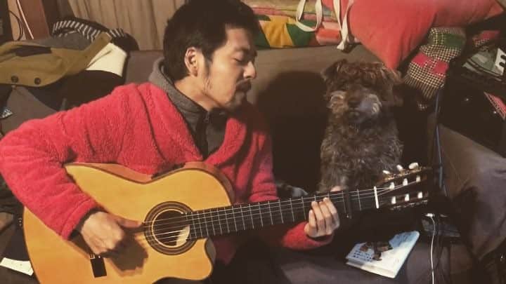 七尾旅人のインスタグラム：「明日は後輩の結婚式なので安室奈美恵ちゃんの歌を練習中。犬も歌詞どおりに照れてみせたりして健気に協力。 . . .」