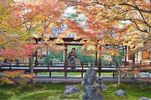 じゃらん遊び・体験予約のインスタグラム：「紅葉着物体験特集✨着物を着てどこに出かけますか？秋冬の遊び体験を予約しましょ。 .⠀ photo by @erika520anko ⠀ #jalan_asobi タグを付けて頂いた投稿の中から @jalan_activity 担当者がピックアップした作品を紹介しています！ いいね&コメントお待ちしております✨⠀ .⠀ ＼✨#jalan_asobi -じゃらん遊び・体験全国人気スポットフォトコンテスト開催中✨／ 選ばれた方は、『じゃらん』に掲載されます！⠀ ▶︎詳しくはホームのURLをチェック! @jalan_activity⠀ .⠀ .⠀ #じゃらん遊び体験予約 #instagramjapan #tokyocameraclub #土曜日の小旅行 #ig_japan #wu_japan #lovers_nippon #team_jp_ #photo_shorttrip #s_shot #東京カメラ部 #jp_gallery #japan_daytime_view #体験 #外遊び #観光 #絶景 #日本の絶景 #女子旅 #カメラ女子 #旅好きな人と繋がりたい #旅好き #goproのある生活 #プチ旅行  #フォトジェニック#着物」