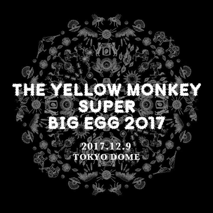 THE YELLOW MONKEYのインスタグラム：「#THEYELLOWMONKEY #SUPER #BIGEGG #2017 #東京ドーム #吉井和哉 #菊地英昭 #廣瀬洋一 #菊地英二」
