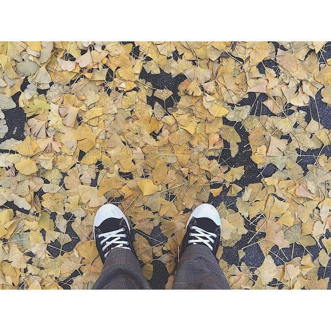 のインスタグラム