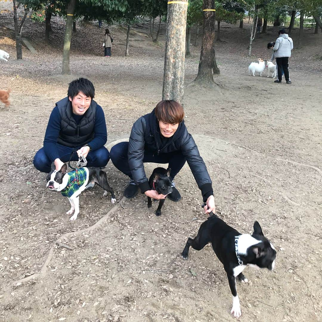 星原健太さんのインスタグラム写真 - (星原健太Instagram)「再開 #フレンチブルドッグ#frenchbulldog #ゆず#ボストンテリア#Boston terrier#アル#ゴン太」12月10日 16時32分 - kentahoshihara