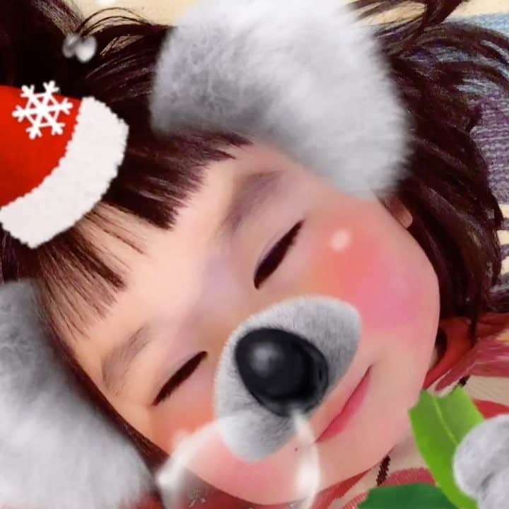 omatsuriccoのインスタグラム：「#今日のドルジ 2017.12.10 ・ クリスマス🎄 プレゼントをどうするか悩みに悩んでる。 ドルジがあれもこれも・・・と言うからどれが良いかわからなくなってきた・・・ ・ 今の所、第1候補はレゴのディズニープリンセスシリーズなんだけど、 それの中でもどれが良いのだろうか・・・とか。 レゴ、ちゃんと遊べるだろうか、とか。 考えたらキリがないんだけどね。 いやぁ、悩むわ！！」