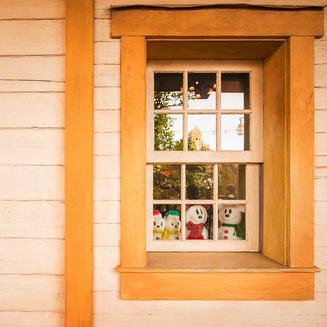 東京ディズニーリゾートさんのインスタグラム写真 - (東京ディズニーリゾートInstagram)「Are they enjoying the view outside? 窓の外にはなにが見えるかな？ #christmaswishes #lostriveroutfitters #lostriverdelta #tokyodisneysea #tokyodisneyresort #スノースノー #クリスマスウィッシュ #ロストリバーアウトフィッター #ロストリバーデルタ #東京ディズニーシー #東京ディズニーリゾート」12月11日 10時18分 - tokyodisneyresort_official